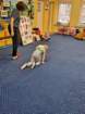 img20221125wa0006_small.jpg