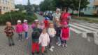 img20250529wa0010_small.jpg